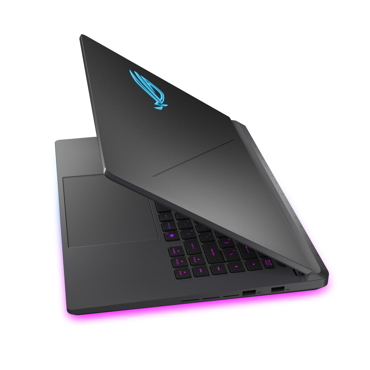 ASUS G615JHR-DS74-CA