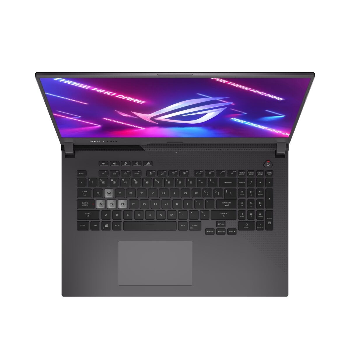 ASUS G713QR-ES96