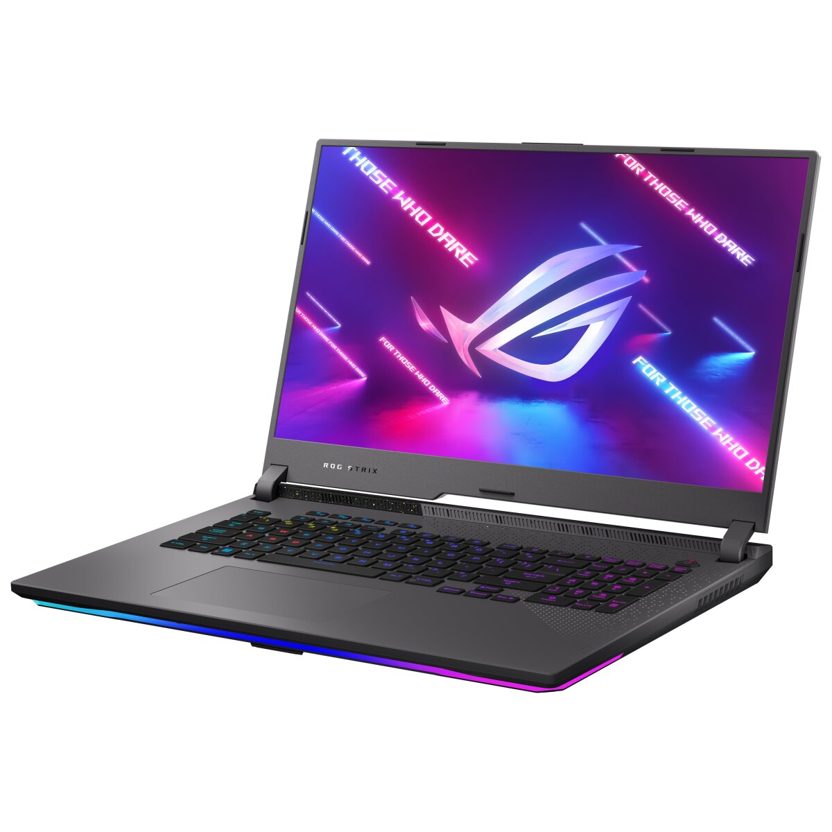 ASUS G713RM-LL061