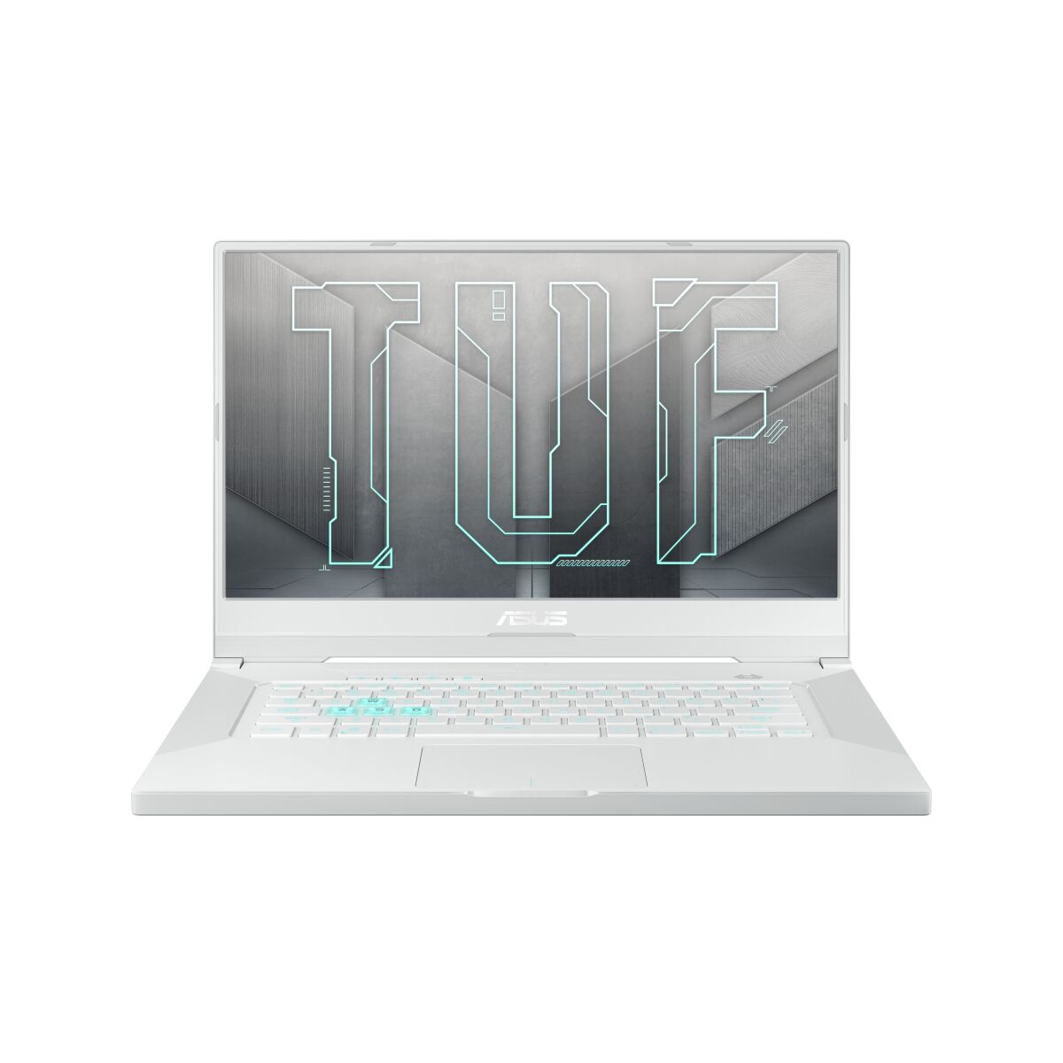 ASUS FX516PE-HN020T