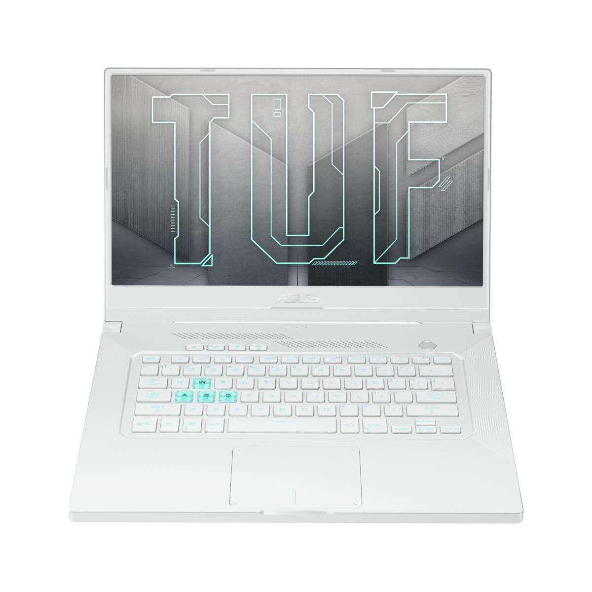 ASUS FX516PE-HN020T