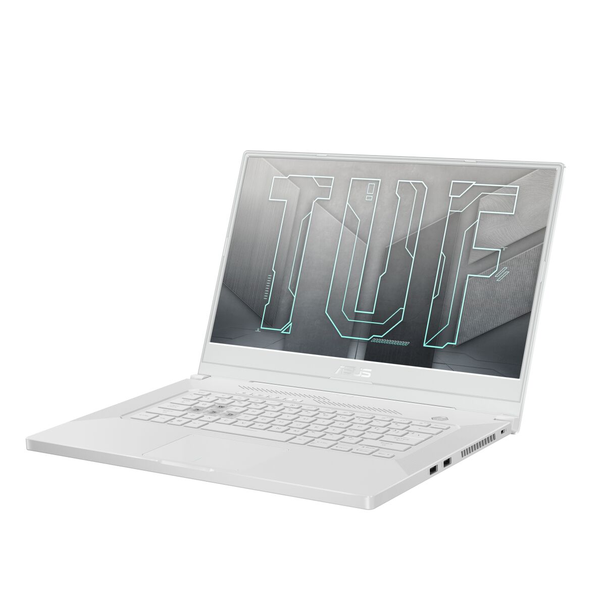 ASUS FX516PR-AZ024T