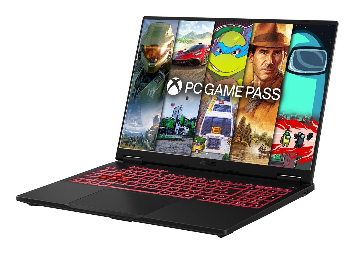 ASUS FA608PP-RV013W