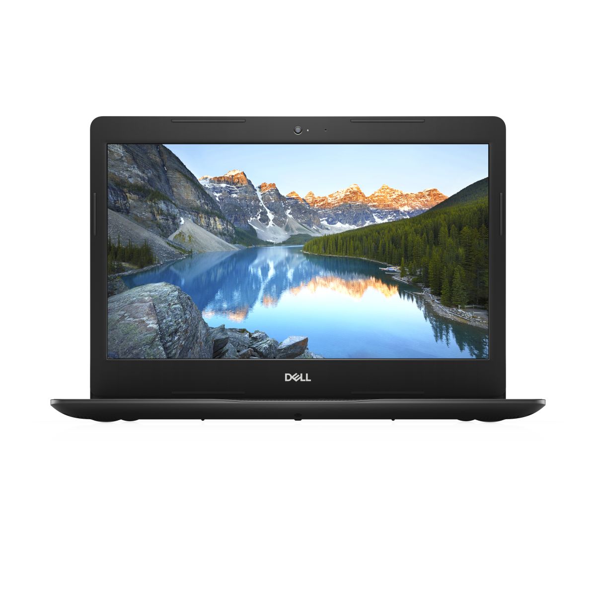 DELL 3493