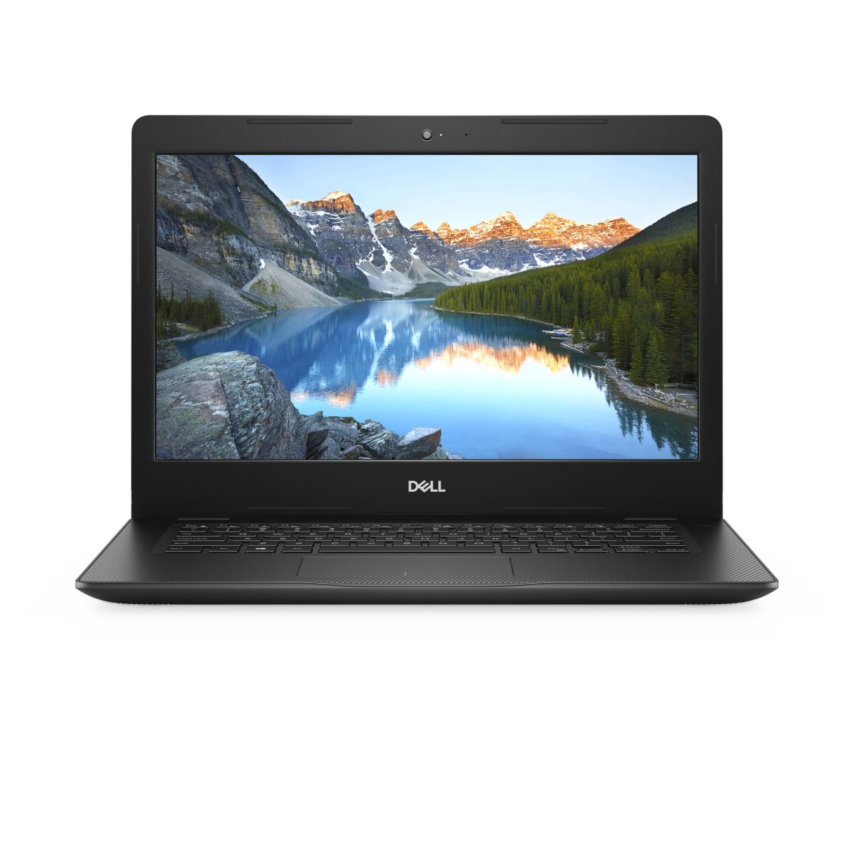 DELL 3493