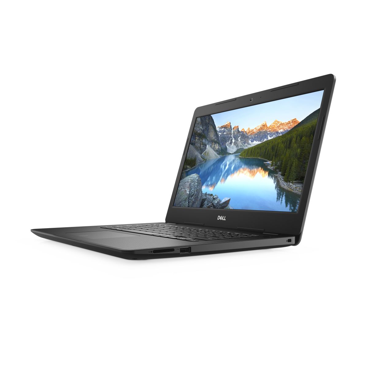 DELL 3493