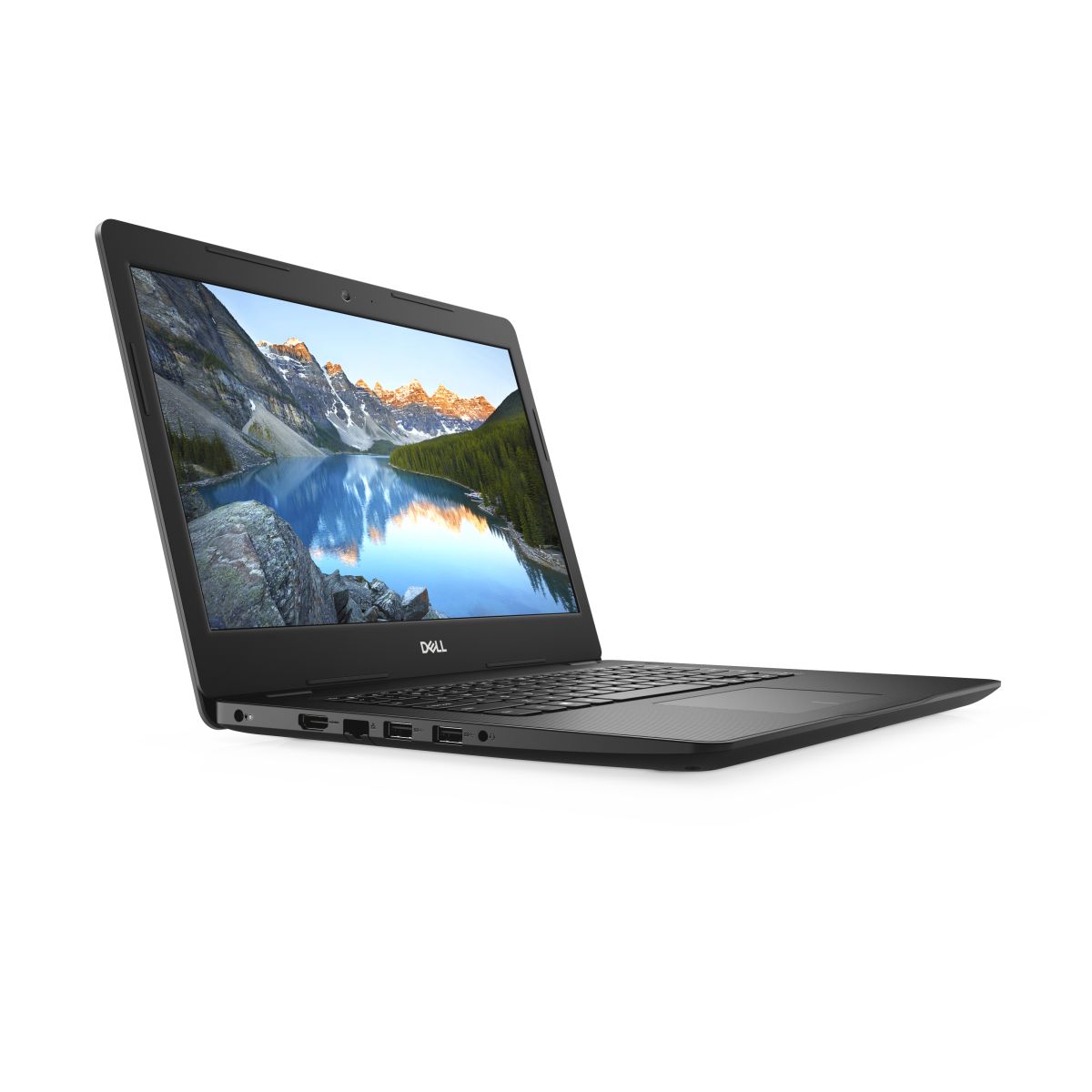 DELL 3493