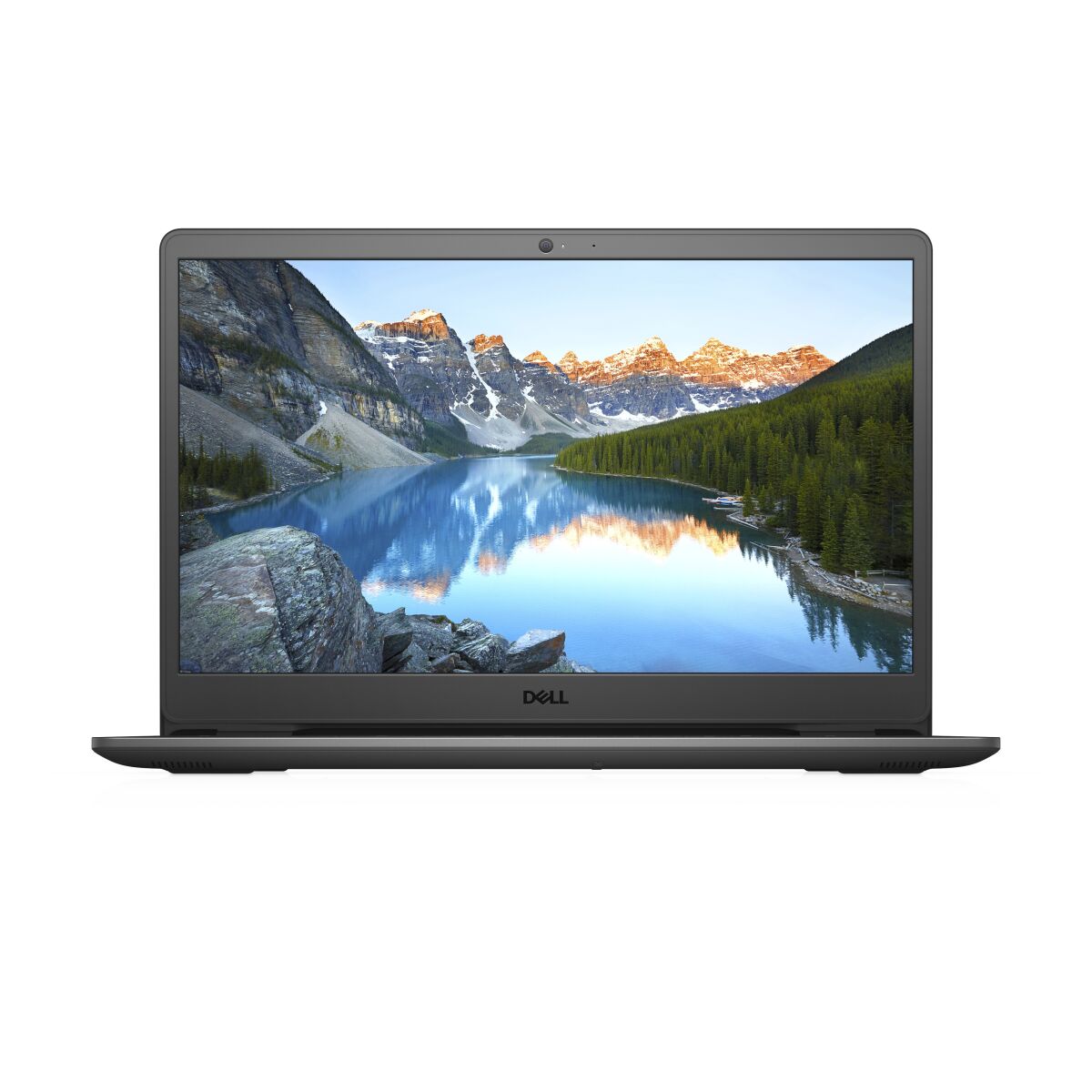 DELL 3502