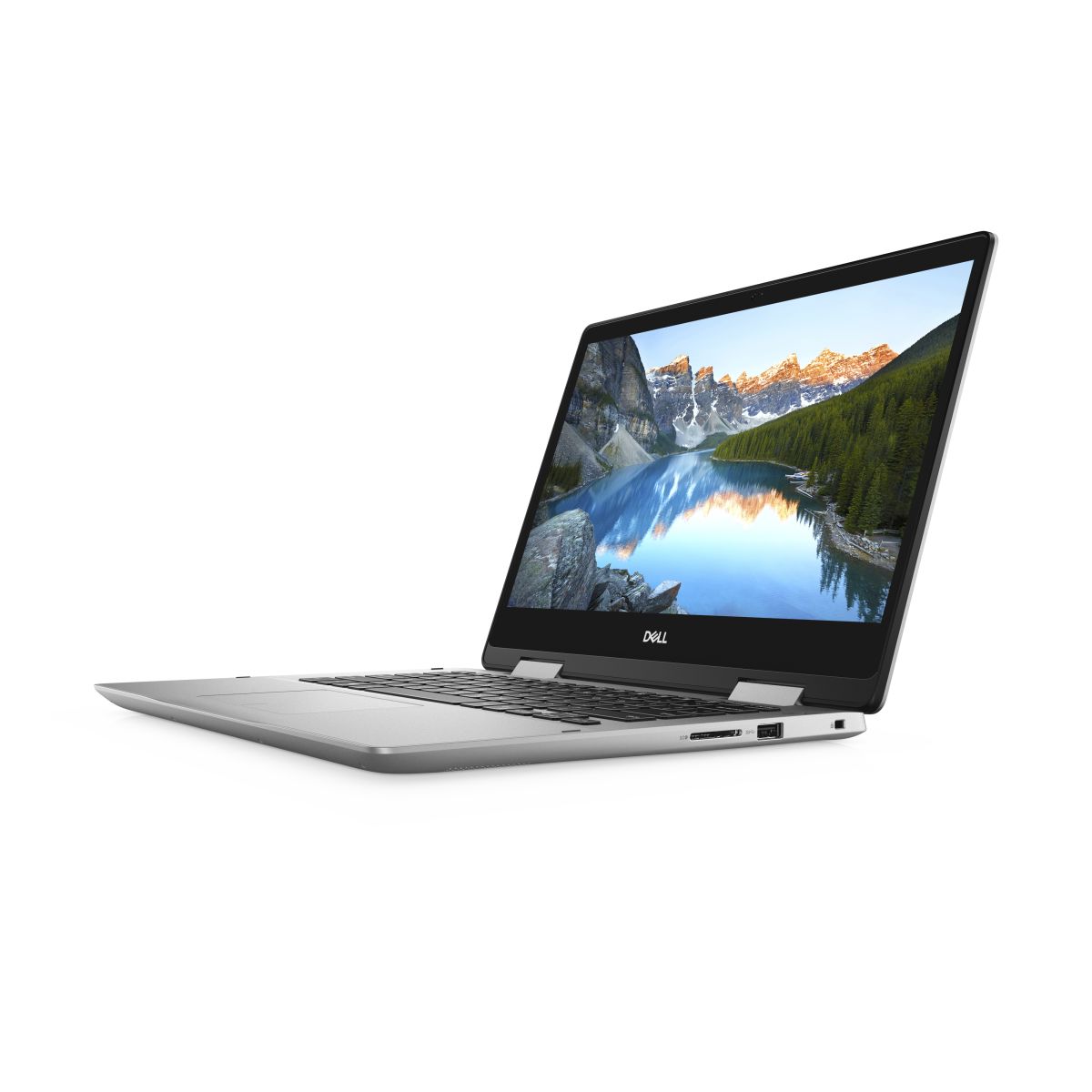 DELL 5491