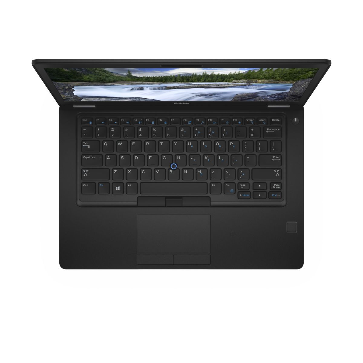 DELL 5495