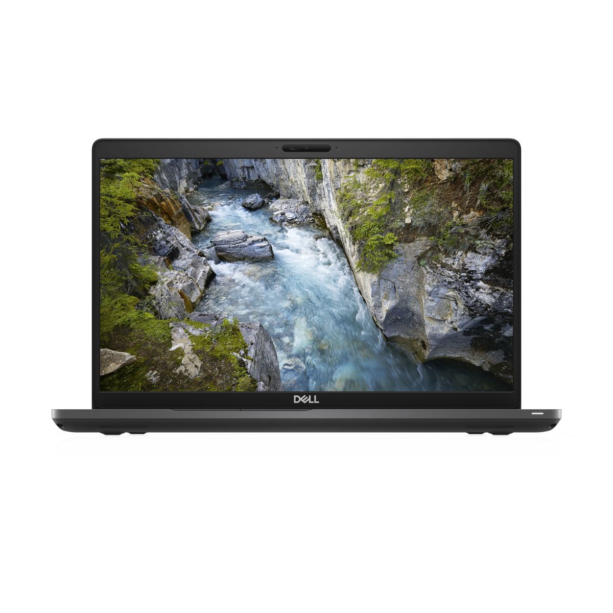 DELL 3541