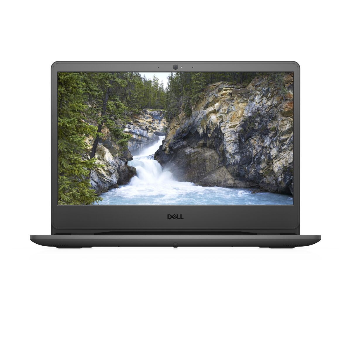 DELL 3401