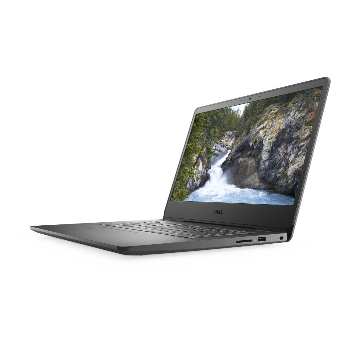 DELL 3401