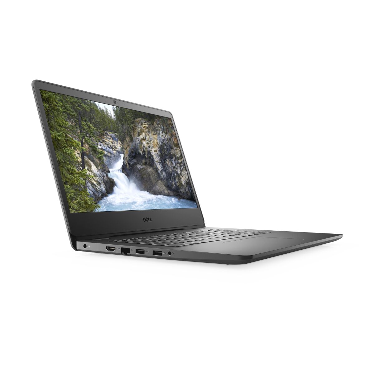 DELL 3401
