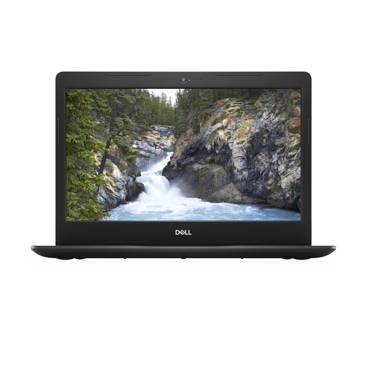 DELL 3491