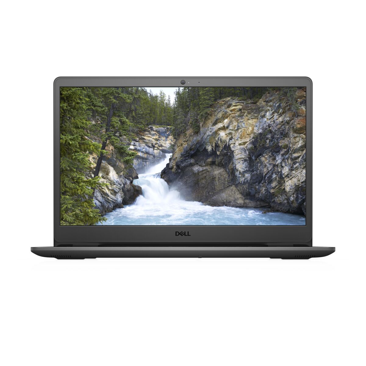 DELL 3501