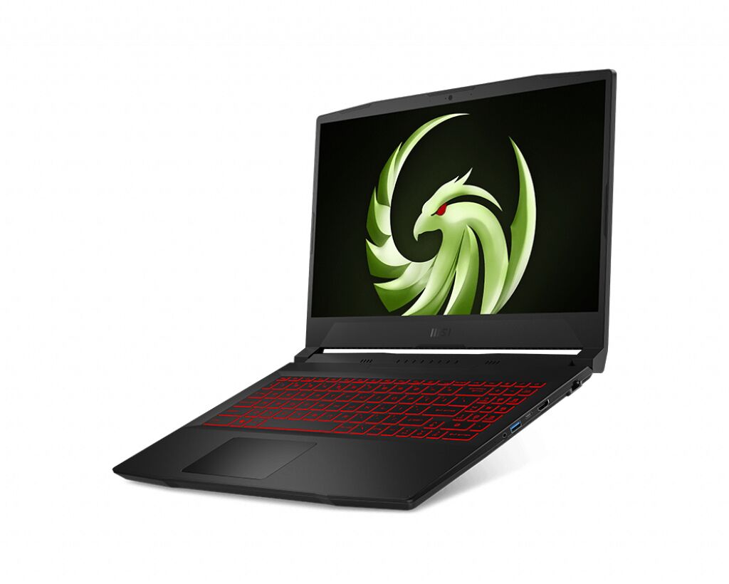 MSI 15 B5DD-228NL