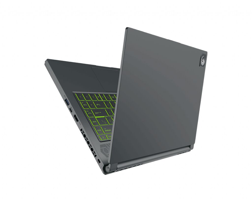 MSI 15 A5EFK-067AU