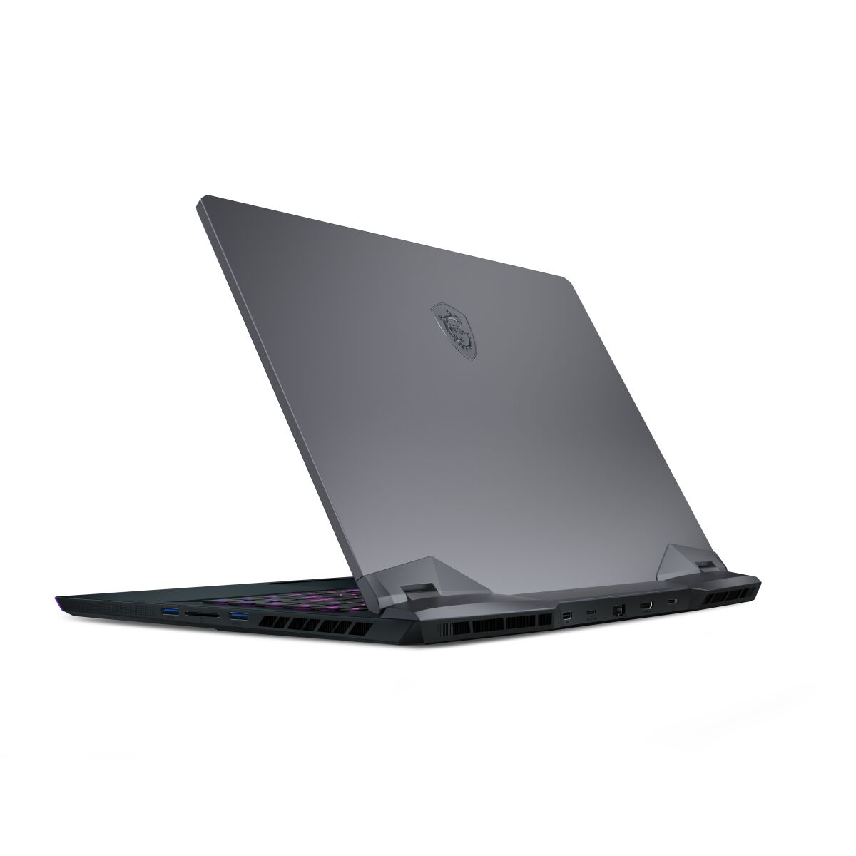 MSI GE66 10SGS-059 Raider