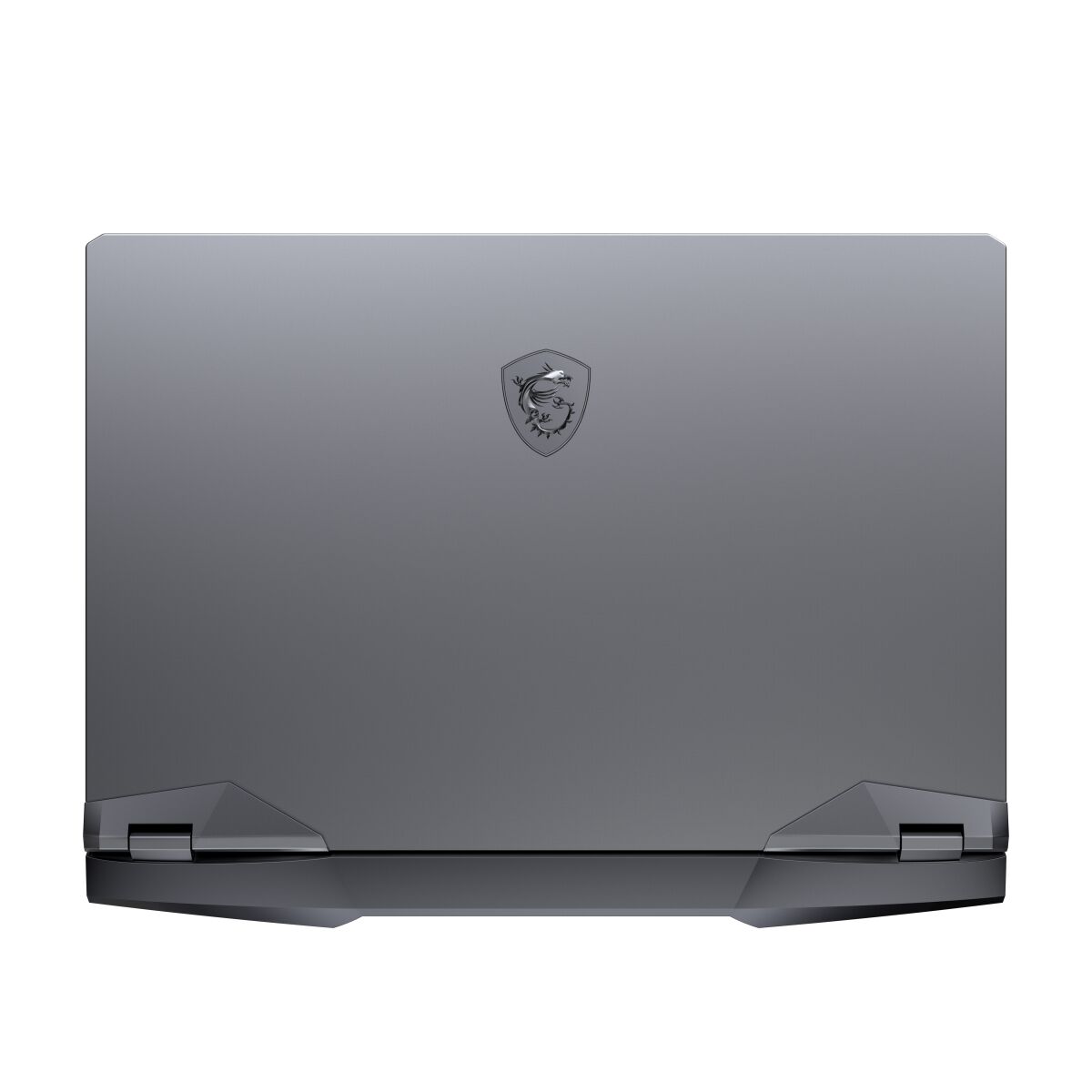 MSI GE66 10SGS-059 Raider