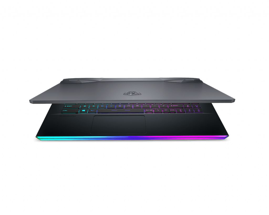 MSI GE66 10SGS-074 Raider