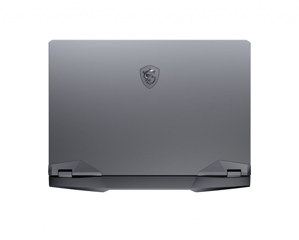 MSI GE66 Raider 10SF-408FR