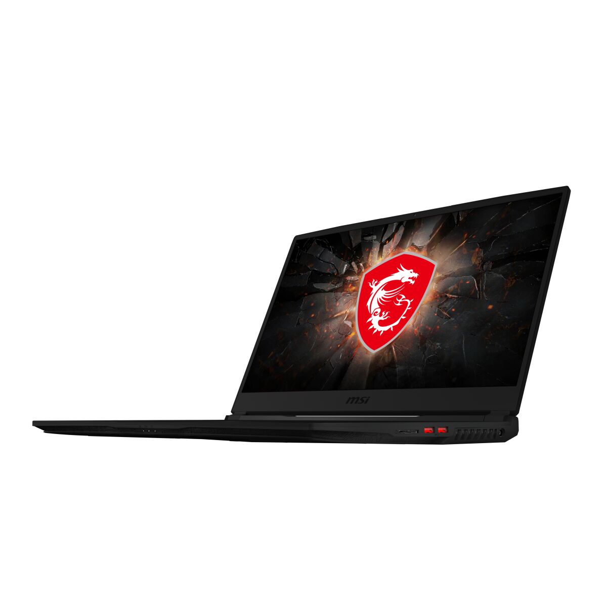 MSI GE75 10SE-482 Raider