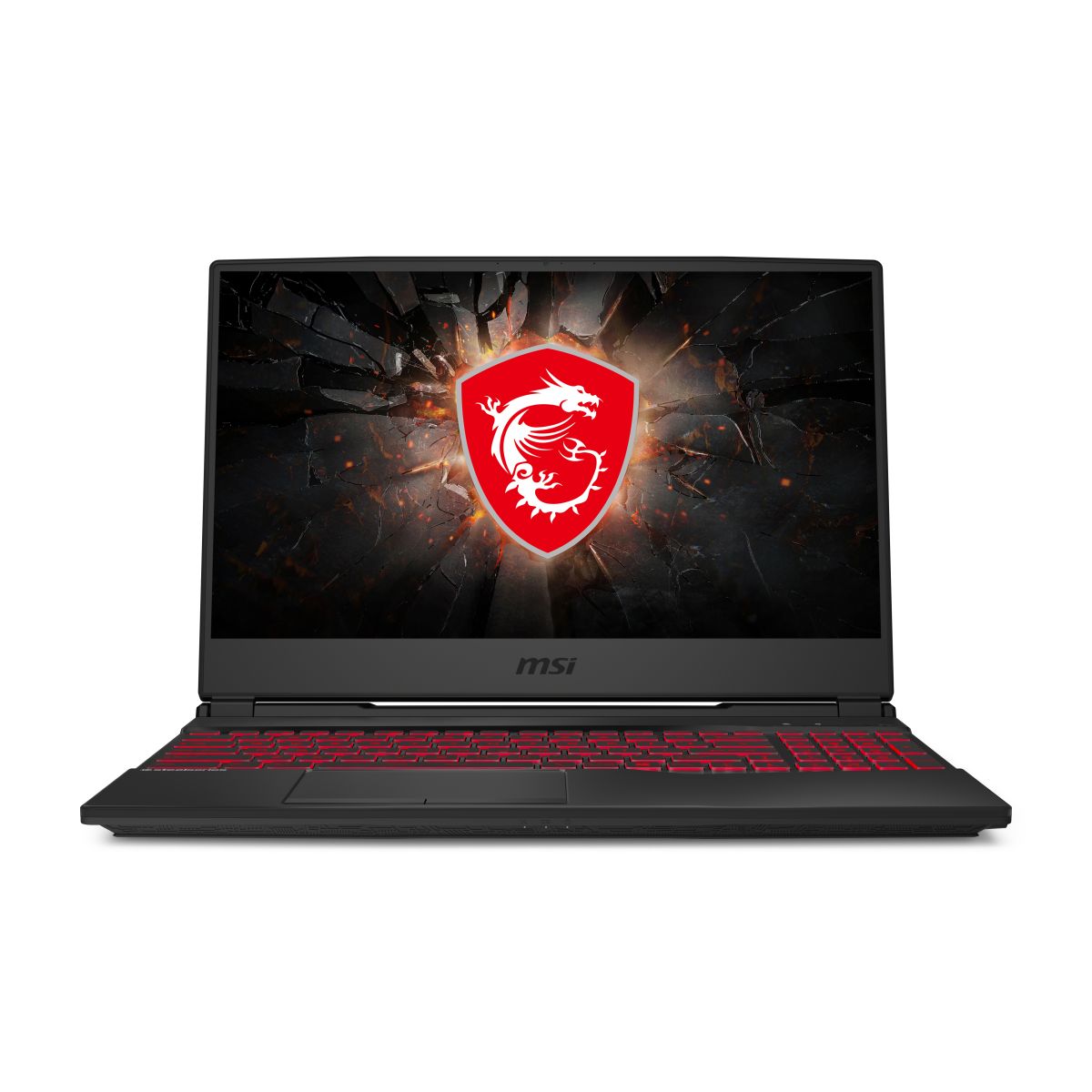 MSI GL65 10SER-201 Leopard