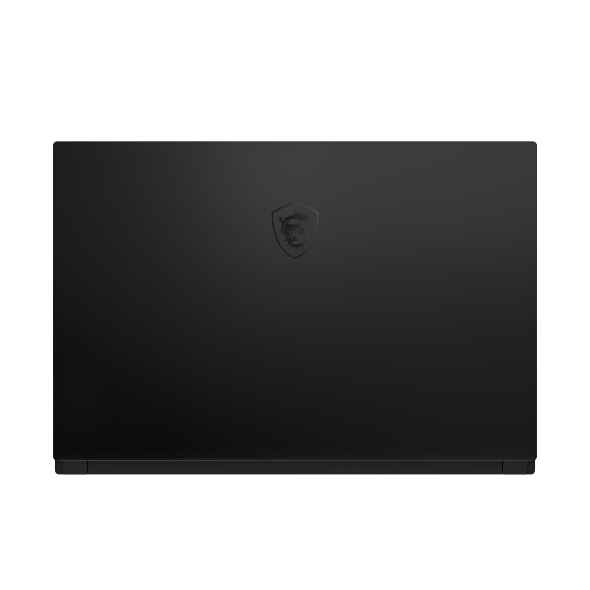 MSI GS66 10SE-482IT Stealth