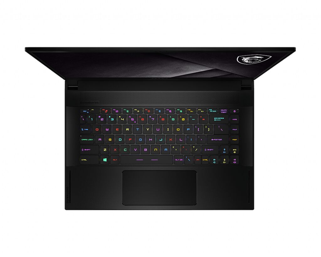 MSI GS66 Stealth 10UE-209FR