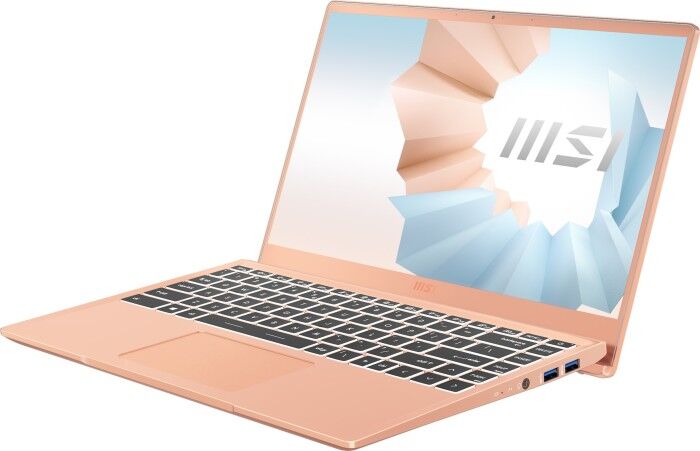 MSI 14 B11M-089