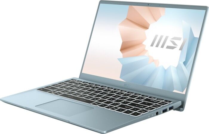 MSI B11M-091XES