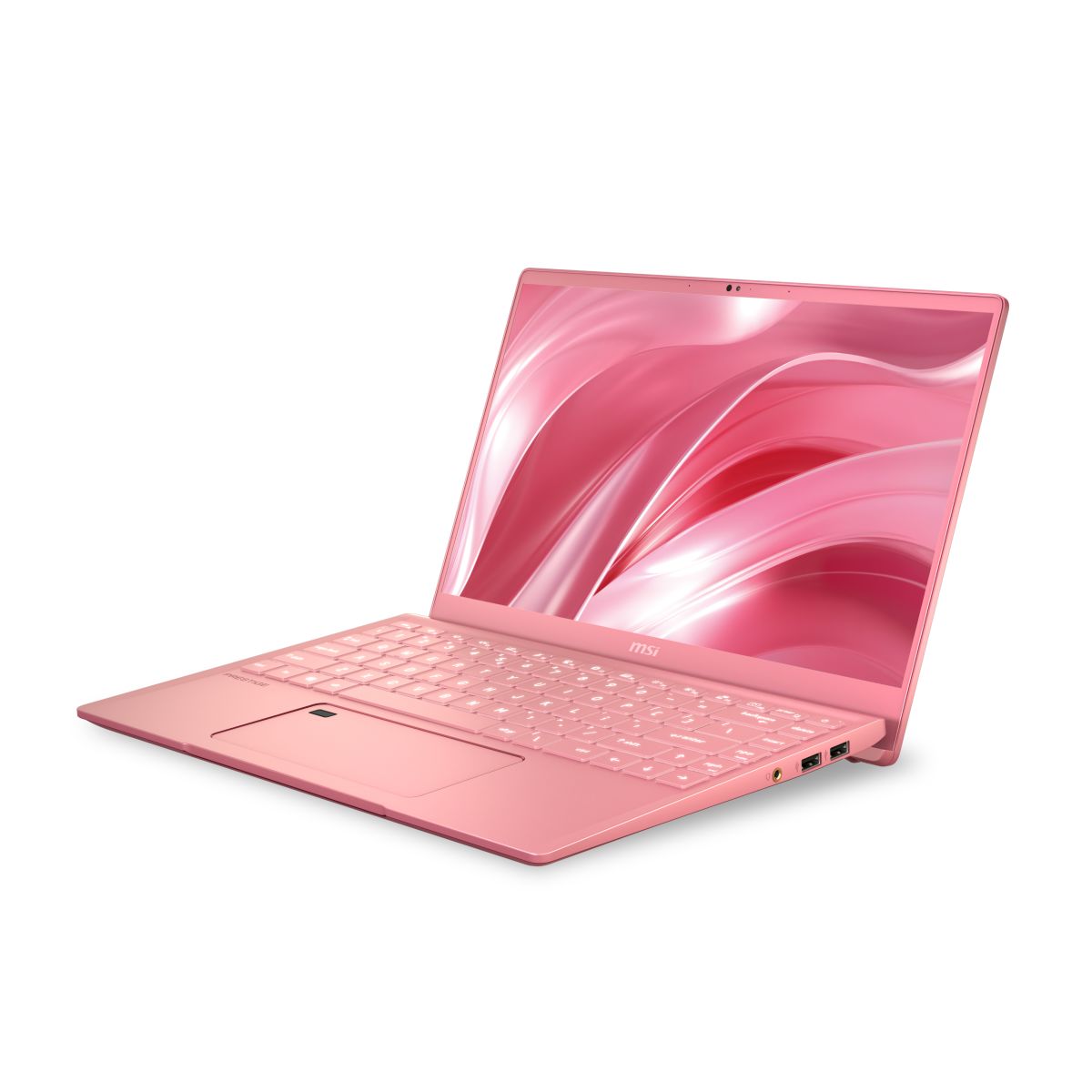 MSI 14 A10RAS-079P