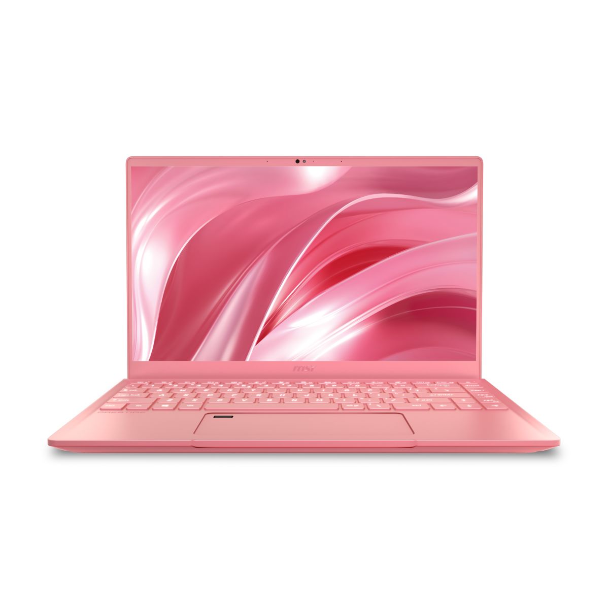 MSI 14 A10RAS-079P