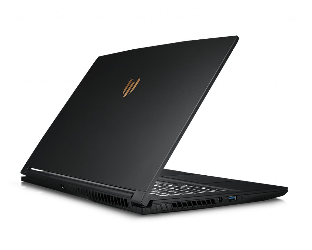 MSI WP65 9TH-263