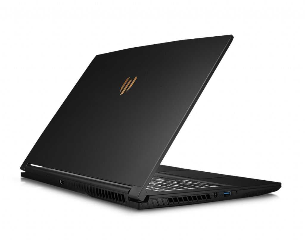 MSI WP65 9TH-433CA