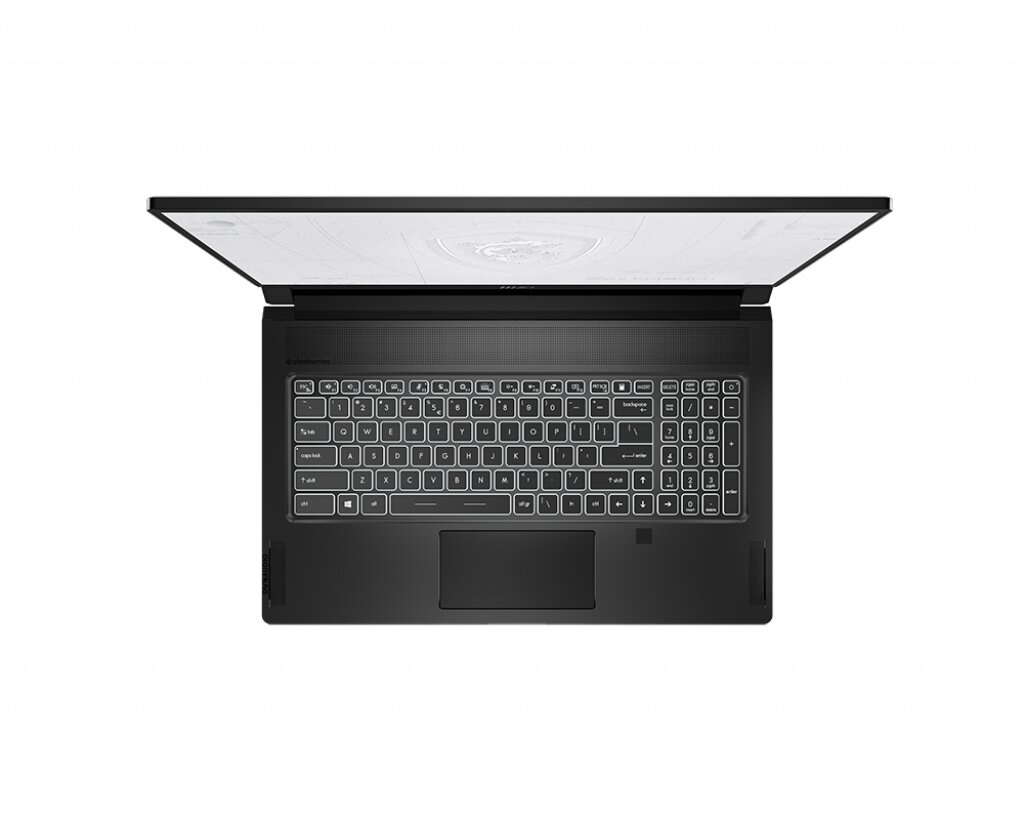 MSI WS76 11UM-447CA